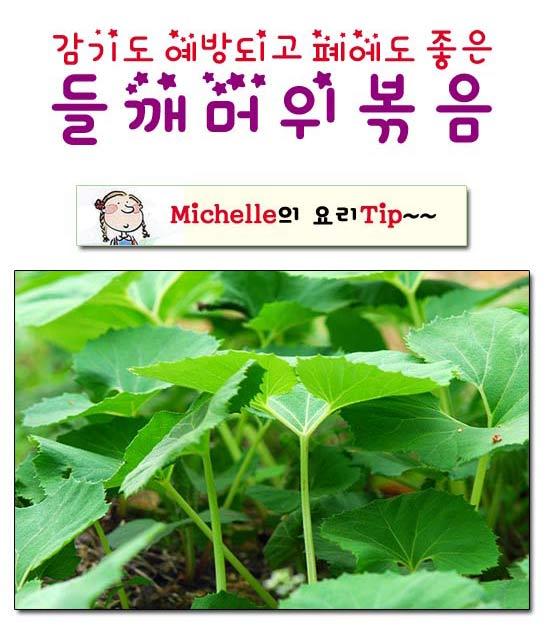 감기 예방에 폐에도 좋은